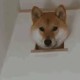 灵尘居