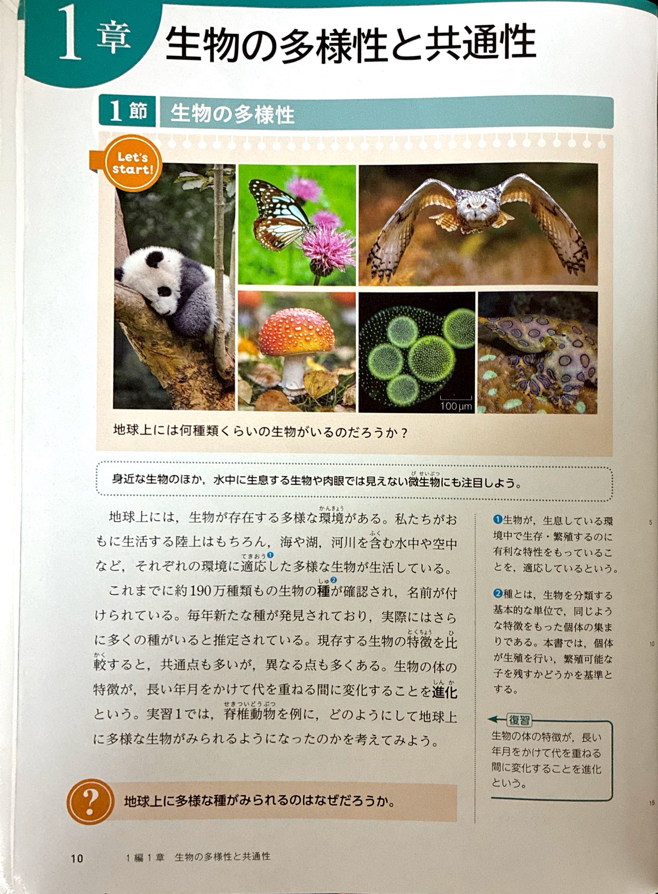 句子中间用逗号，和中文一样