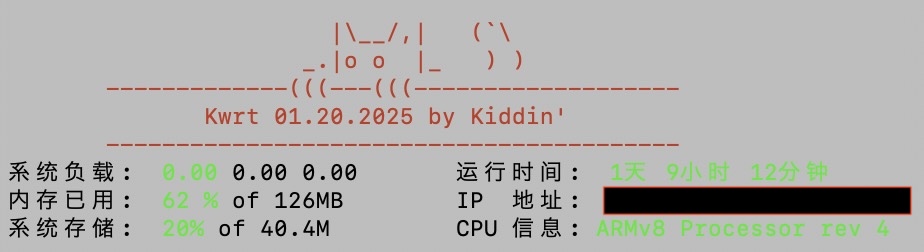 SSH 的欢迎界面挺漂亮。